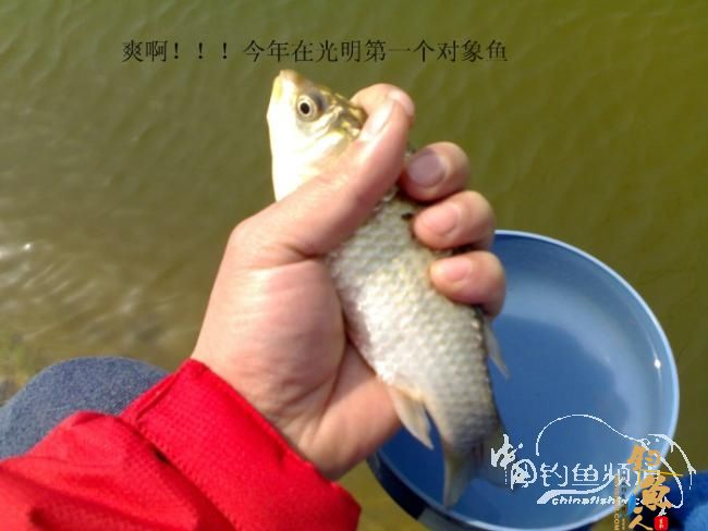 2012野钓篇三《独钓光明水库牛家庄》