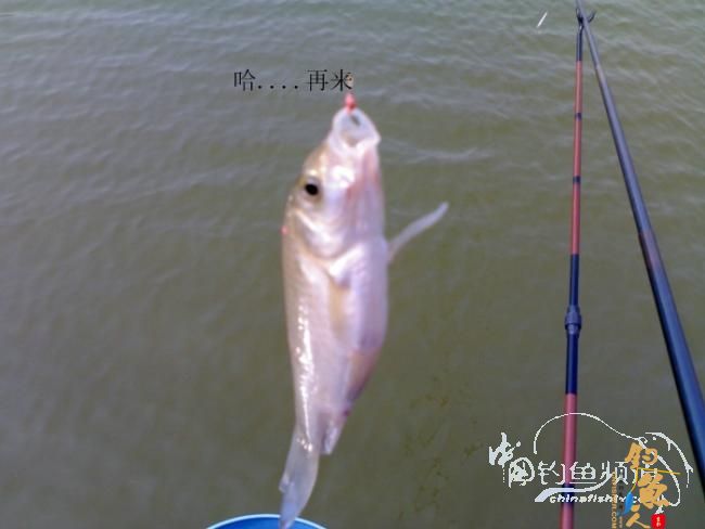 2012野钓篇三《独钓光明水库牛家庄》