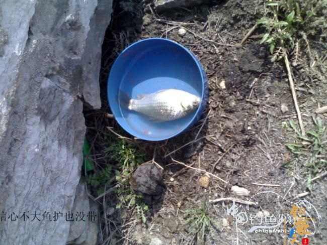 2012野钓篇三《独钓光明水库牛家庄》