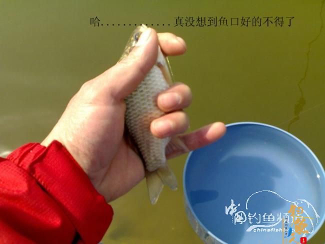 2012野钓篇三《独钓光明水库牛家庄》