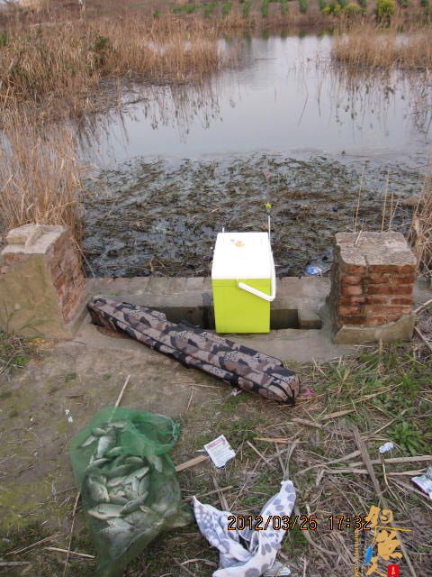 《随钓》菜花黄时钓鱼忙