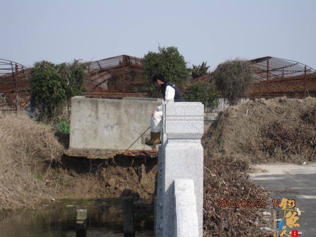 《随钓》菜花黄时钓鱼忙