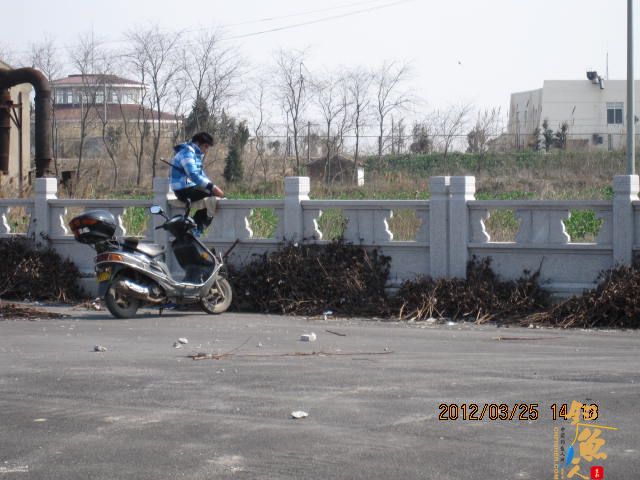 《随钓》菜花黄时钓鱼忙