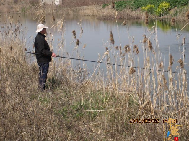 《随钓》菜花黄时钓鱼忙