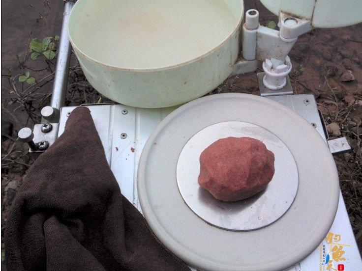 春季小鱼的天堂《八尺江》系列1