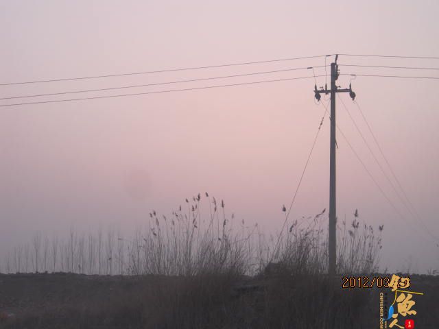 晨光鲫(二)收获的是友情