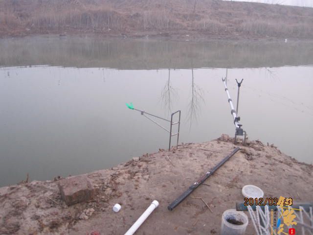 晨光鲫(二)收获的是友情