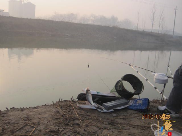 晨光鲫(二)收获的是友情