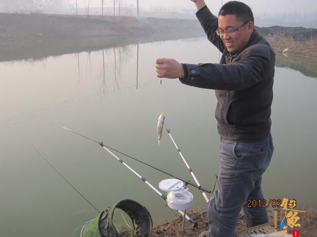 晨光鲫(二)收获的是友情