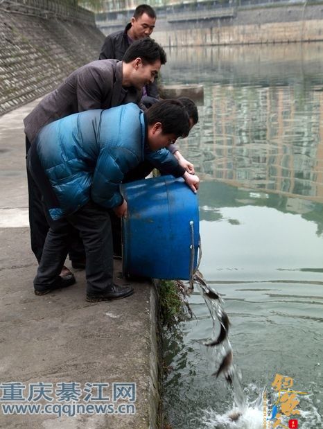 放流鱼苗近千尾 孝子河畔垂钓好去处 图