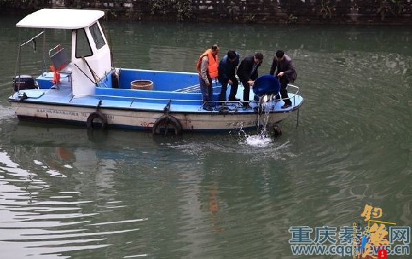 放流鱼苗近千尾 孝子河畔垂钓好去处 图