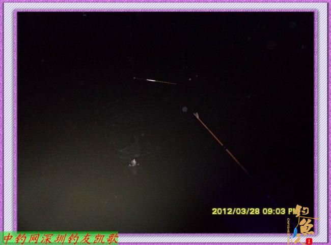 狂飞鲫，我累了，何以一个狂字了得