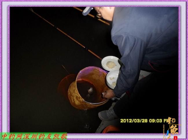 狂飞鲫，我累了，何以一个狂字了得