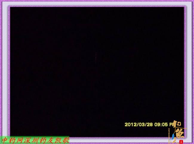 狂飞鲫，我累了，何以一个狂字了得