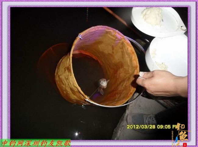 狂飞鲫，我累了，何以一个狂字了得