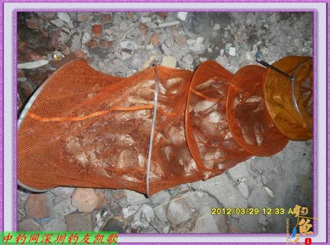 狂飞鲫,我累了,何以一个狂字了得