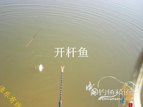 沐浴 春风 格外 芬芳 转