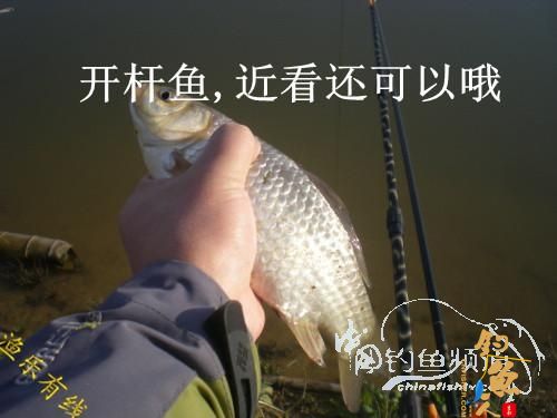 沐浴 春风 格外 芬芳 转