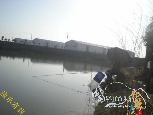 沐浴 春风 格外 芬芳 转