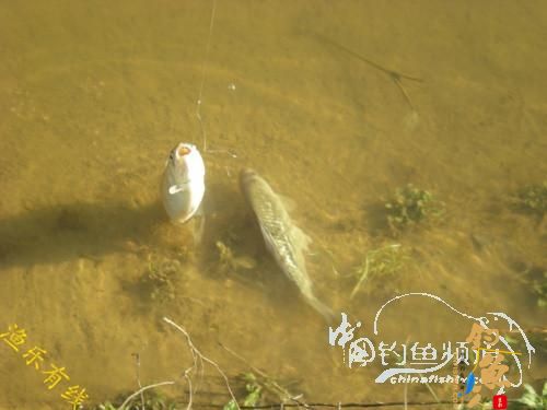 沐浴 春风 格外 芬芳 转