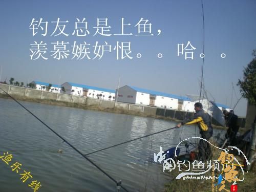 沐浴 春风 格外 芬芳 转