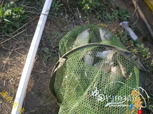 沐浴 春风 格外 芬芳 转