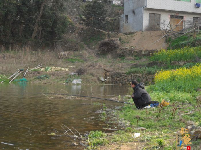 3月26日又一次好爽的库钓 多图