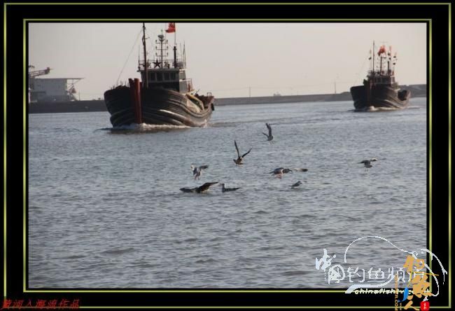 国庆海上行 爽钓黑虎头 转