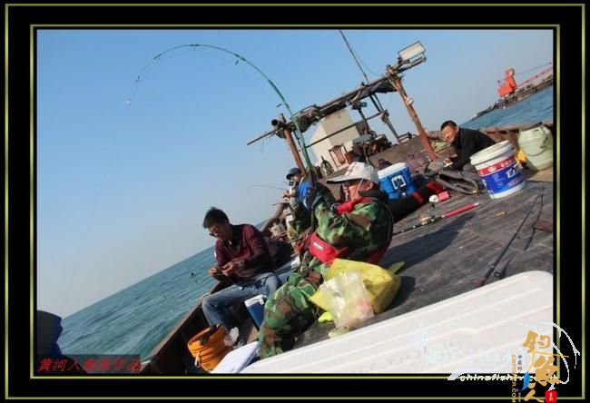 国庆海上行 爽钓黑虎头 转