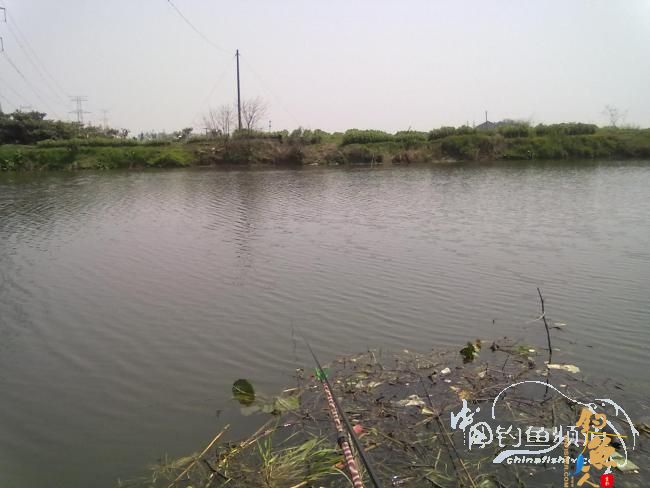 钓不尽的京杭运河28之钓友痛失大青 转