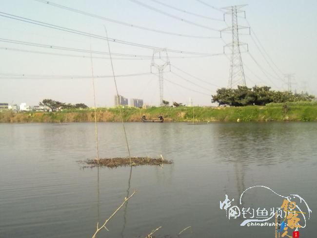钓不尽的京杭运河28之钓友痛失大青 转