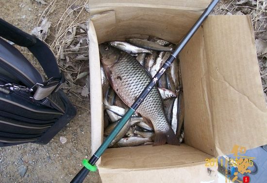 怡水苑垂钓生态园（一） 多图