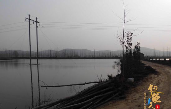 怡水苑垂钓生态园 （二） 多人垂钓，壮观图