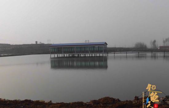 怡水苑垂钓生态园 （二） 多人垂钓，壮观图