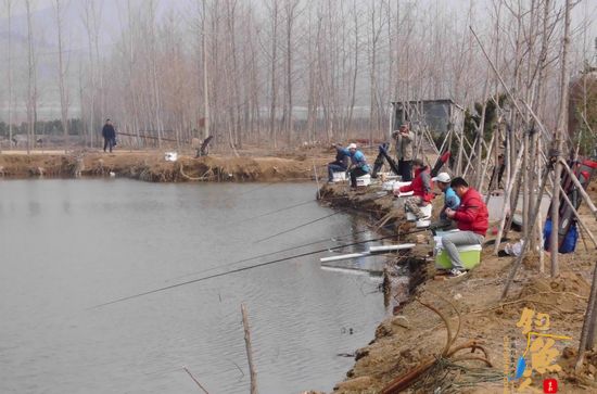 怡水苑垂钓生态园 （二） 多人垂钓，壮观图