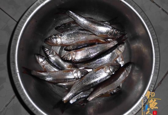 清明小长假绝对不能错过！野钓，还是野钓！