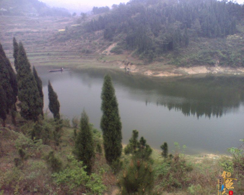 春意盎然梅子坝,隔日鱼情不相同 图