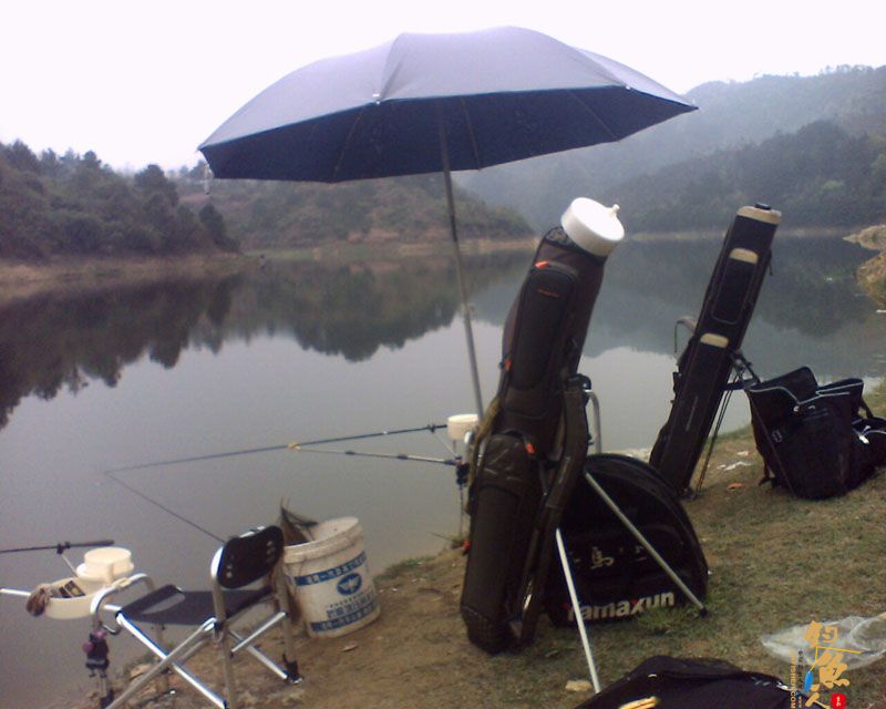 春意盎然梅子坝,隔日鱼情不相同 图