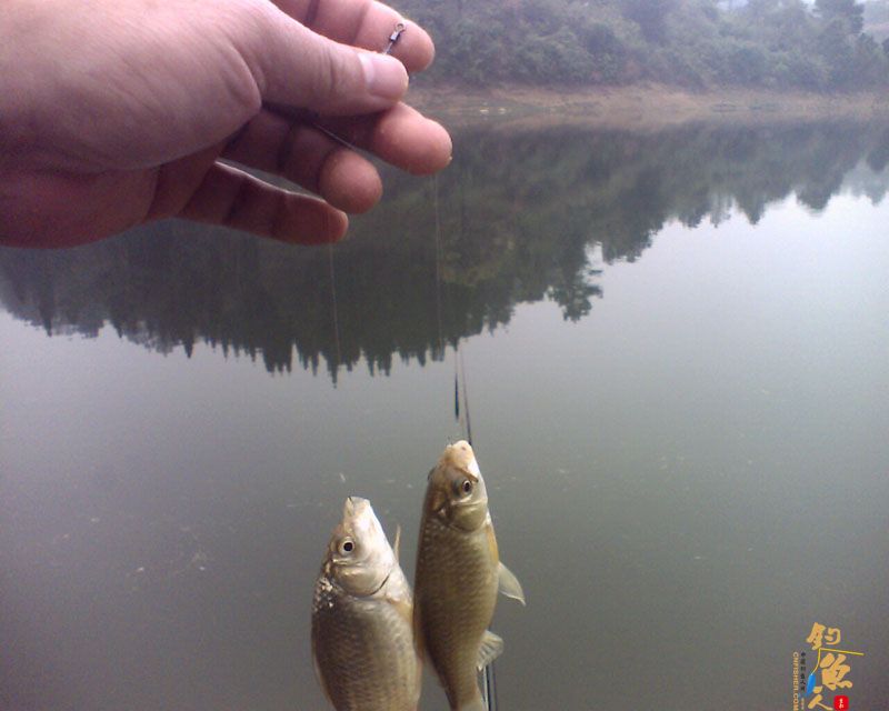 春意盎然梅子坝，隔日鱼情不相同 图