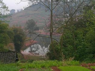 又探凼凼记--疯狂的鯵子