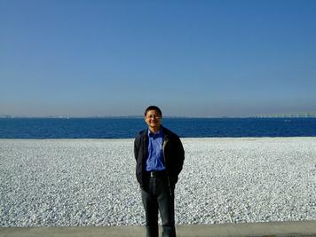 又探凼凼记--疯狂的鯵子