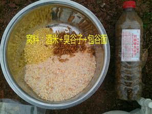 又探凼凼记--疯狂的鯵子