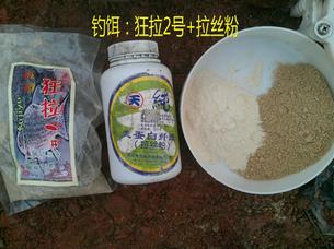 又探凼凼记--疯狂的鯵子