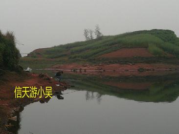 又探凼凼记--疯狂的鯵子