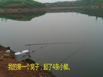 又探凼凼记--疯狂的鯵子