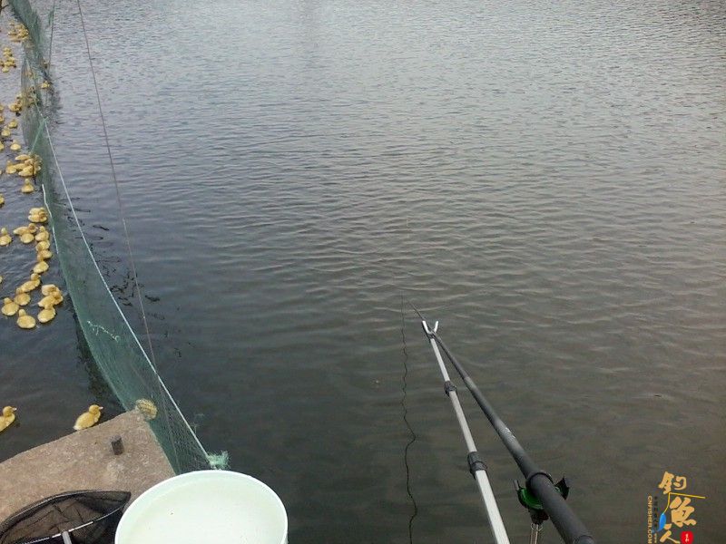 故地重游之以14条鱼惨淡收场