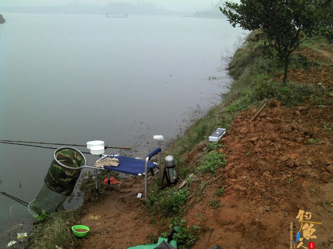 天气预报瞎胡闹 瞧我半天收获也不少