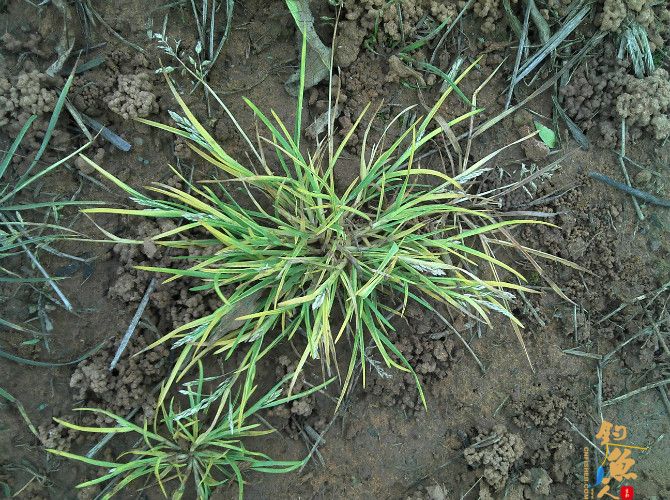 天气预报瞎胡闹 瞧我半天收获也不少