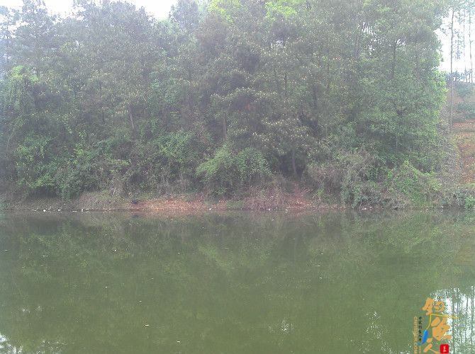 天气预报瞎胡闹 瞧我半天收获也不少