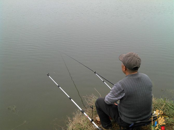 天气预报瞎胡闹 瞧我半天收获也不少